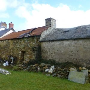 Gallery 6