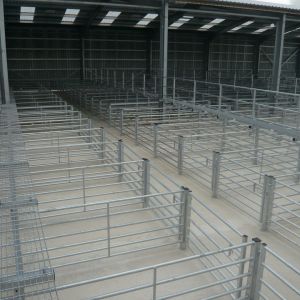 Gallery 9