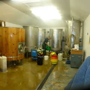 Bluestone Brewery Farm Diversification