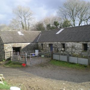 Gallery 1